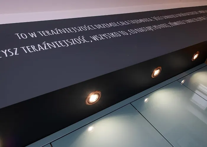 Srodmiescie 公寓 *