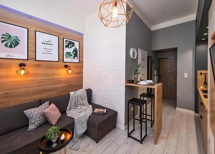 Srodmiescie 公寓 *